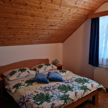 Apartment Charlie Selište Drežničko Buitenkant foto