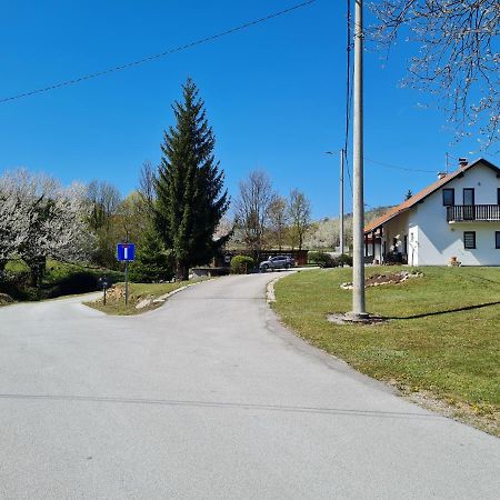 Apartment Charlie Selište Drežničko Buitenkant foto